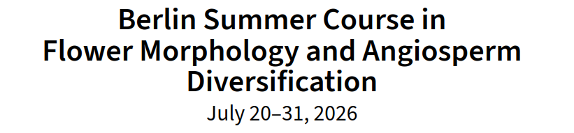 Logo Berlin Summer Course