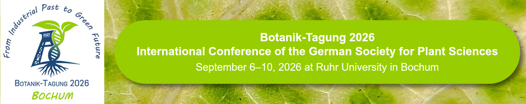 Logo Botanik-Tagung 2026