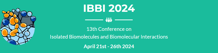 Logo IBBI 2024